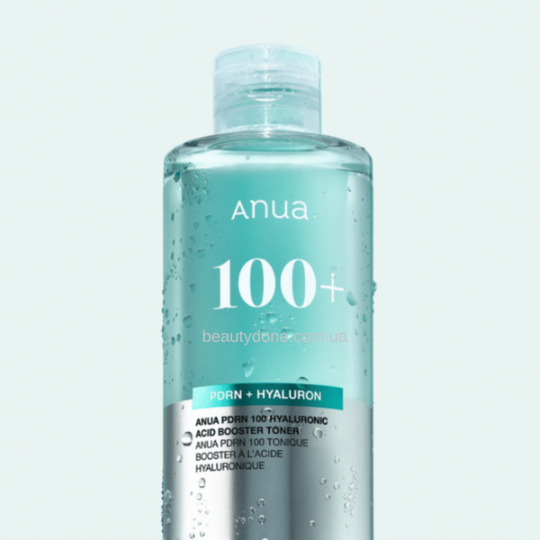 Зволожуючий тонер-бустер з PDRN Anua PDRN 100 Hyaluronic Acid Booster Toner 250 ml 3683 фото