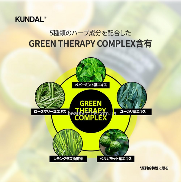 Шампунь проти жирності шкіри голови Kundal All Day Smell Cover Teens Shampoo Lime Basil & Mandarin 400ml 6966 фото