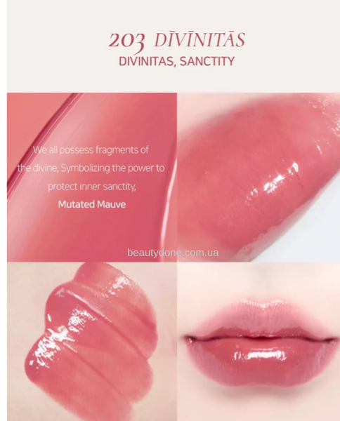 Сияющий тинт для губ Dinto Blur-Glowy Lip Tint 3.5g (203 Divinitas) 6879 фото