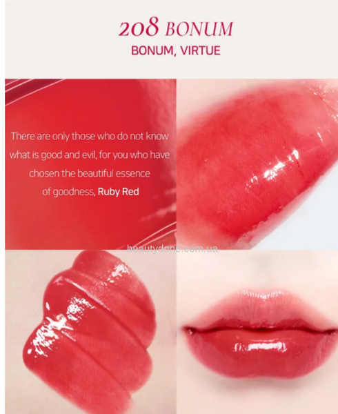 Сияющий тинт для губ Dinto Blur-Glowy Lip Tint 3.5g (208 Bonum) 7853 фото