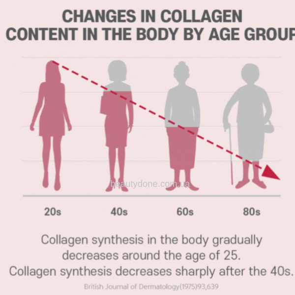 Низькомолекулярний колаген з вітаміном С BOTO Low Molecular Collagen C (30 стиків) 2358 фото