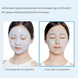 Зволожувальна гідрогелева маска2-х етапна VT Cosmetics Hydrop Reedle Shot 100hL 2-Step Mask 4690 фото 3
