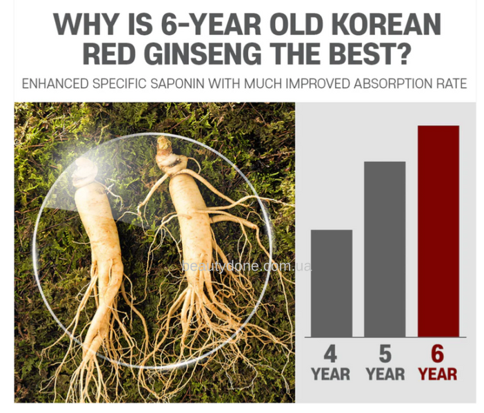 Стики с экстрактом красного корейского женьшеня BOTO 6 years Korea Red Ginseng Sticks (10 Sticks) 5975 фото