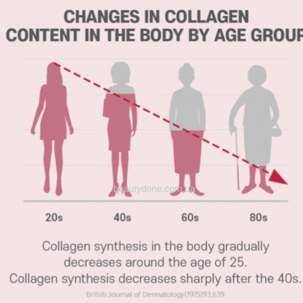 Низькомолекулярний колаген з вітаміном С та біотином BOTO Low Molecular Collagen C Biotin 30шт (термін придатності до 26/11/2026) sale_3854 фото