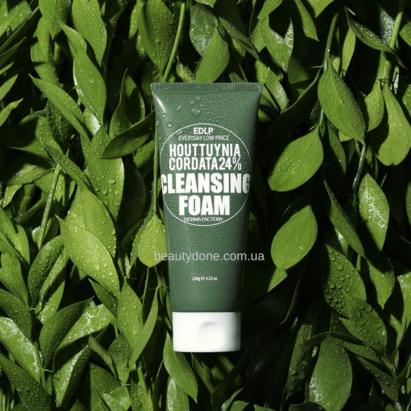 М&rsquo;яка пінка для вмивання Derma Factory Houttuynia Cordata 24 % Cleansing Foam 120 мл 7439 фото